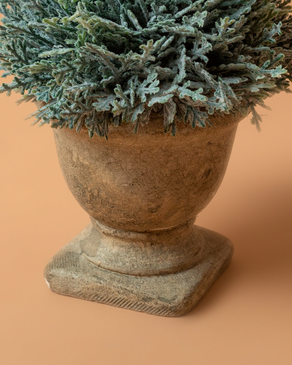 Piantina in vaso effetto pietra